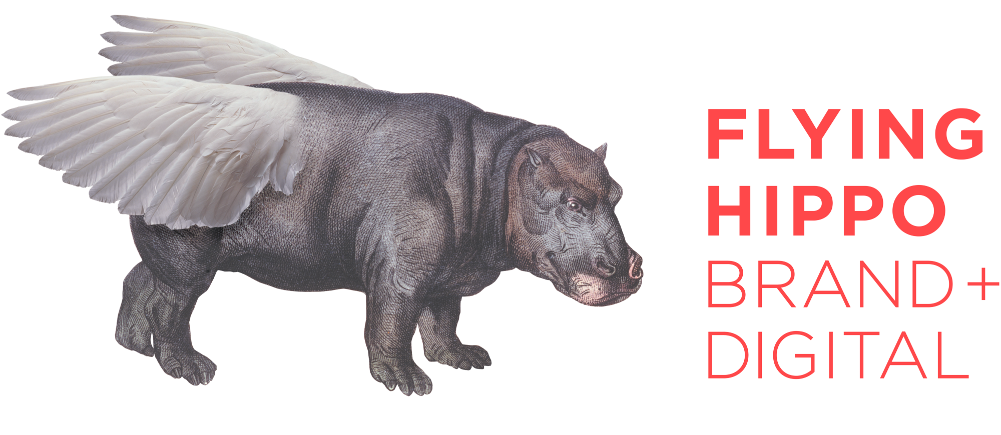Flying Hippo